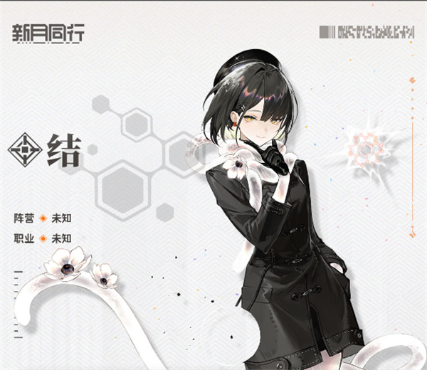 新月同行结性价比分析报告