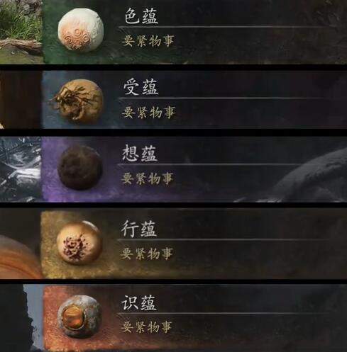 《黑神话悟空》游戏攻略：深入解析五蕴作用