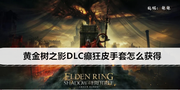 黄金树之影 DLC 癫狂皮手套获取攻略