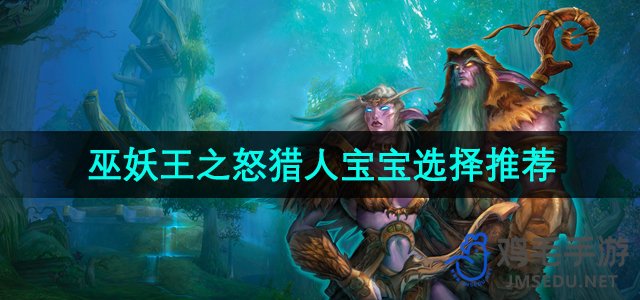 《魔兽世界》巫妖王怒潮：猎人宝宝选择攻略解析