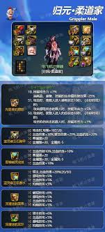DNF男柔道115级升级攻略：高效加点技巧揭秘
